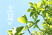 斗指东南，维为立夏，万物至此皆长大